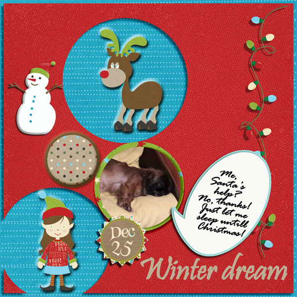 Winter dream