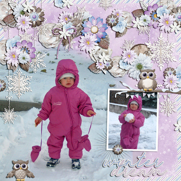 winter dream