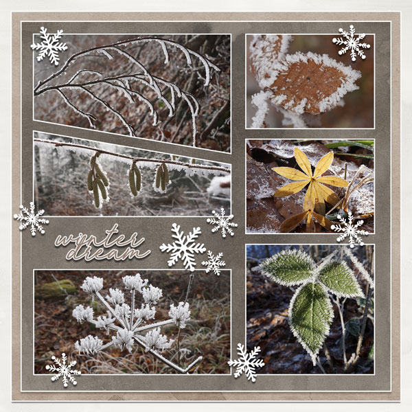 Winter Dream