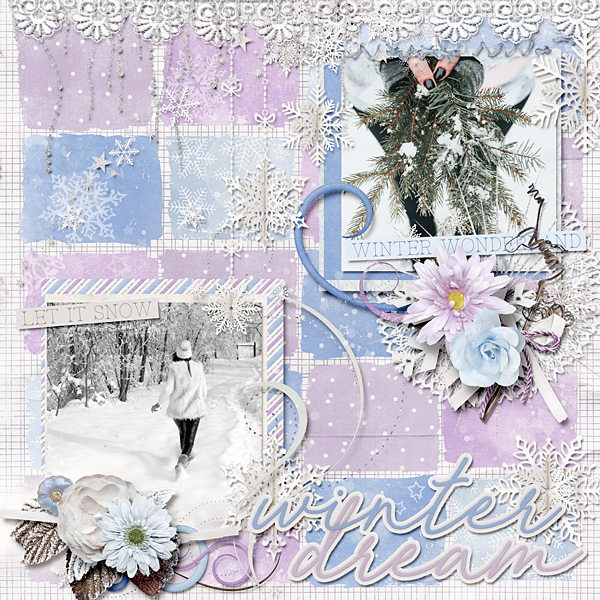Winter dream