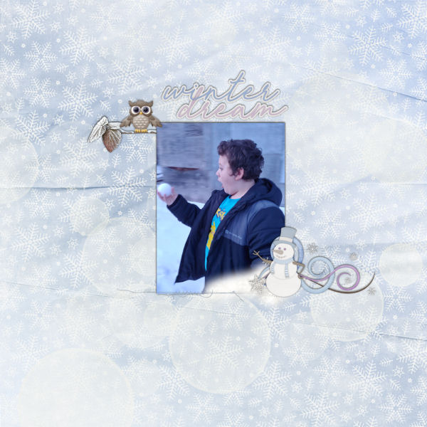 Winter Dream