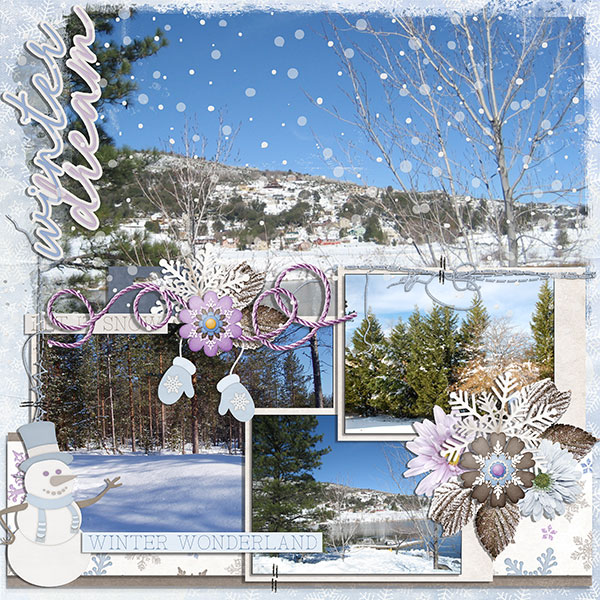 winter dream