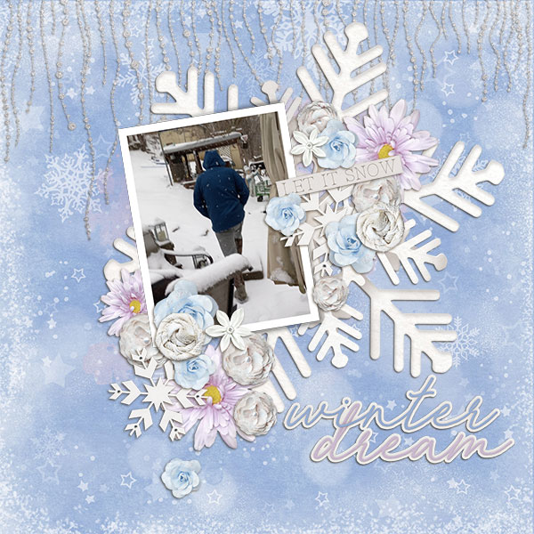 Winter Dream