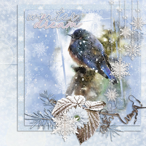 Winter Dreams