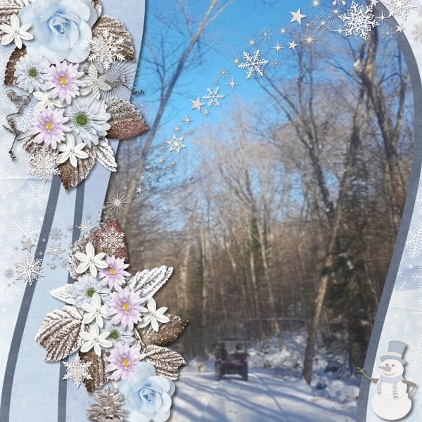 Winter Drive