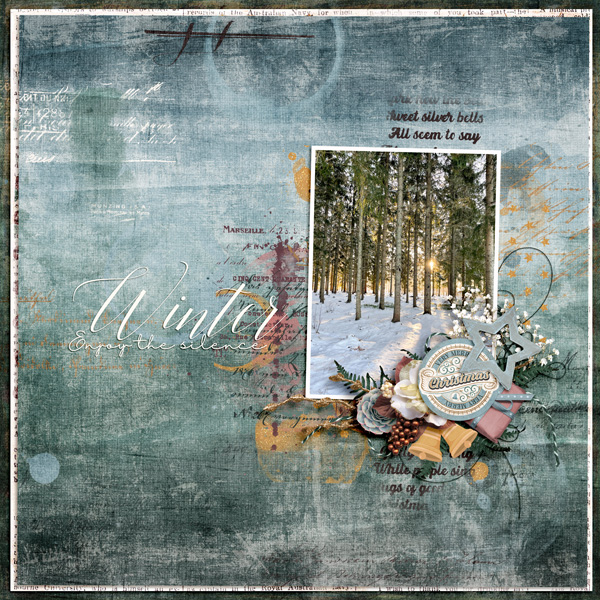 Winter - enjoy the silence