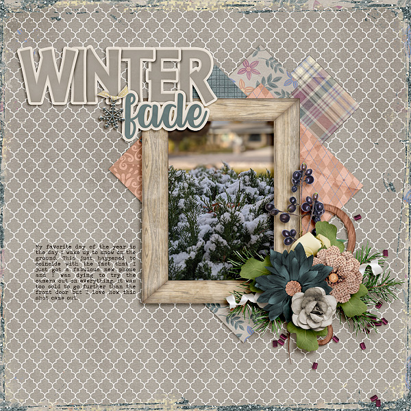 Winter Fade