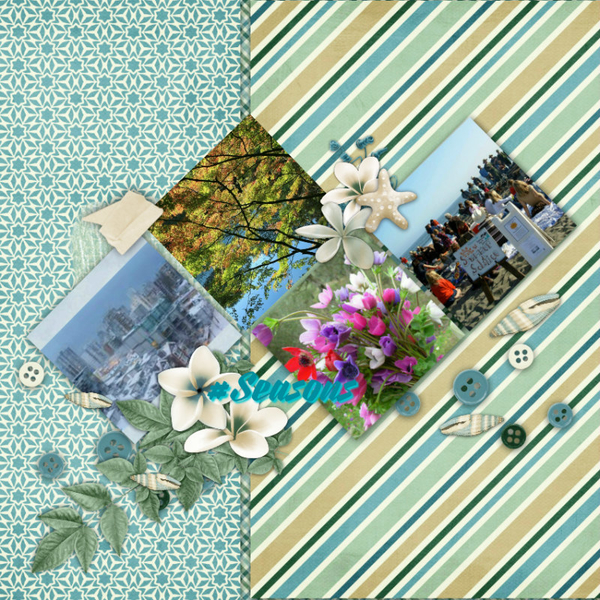Winter, fall, spring, summer