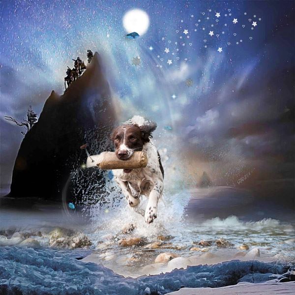 Winter Fantasy