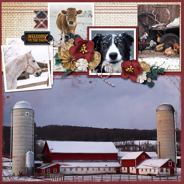 Winter Farm