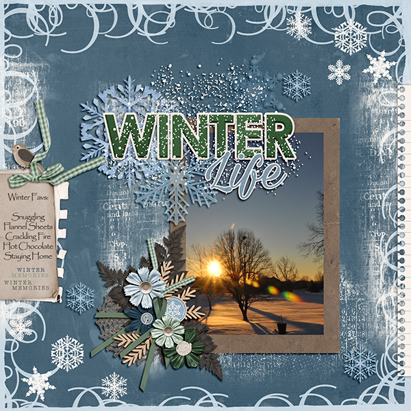 Winter Favs