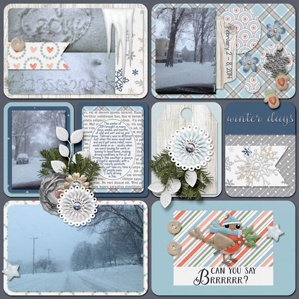 Winter February 2014