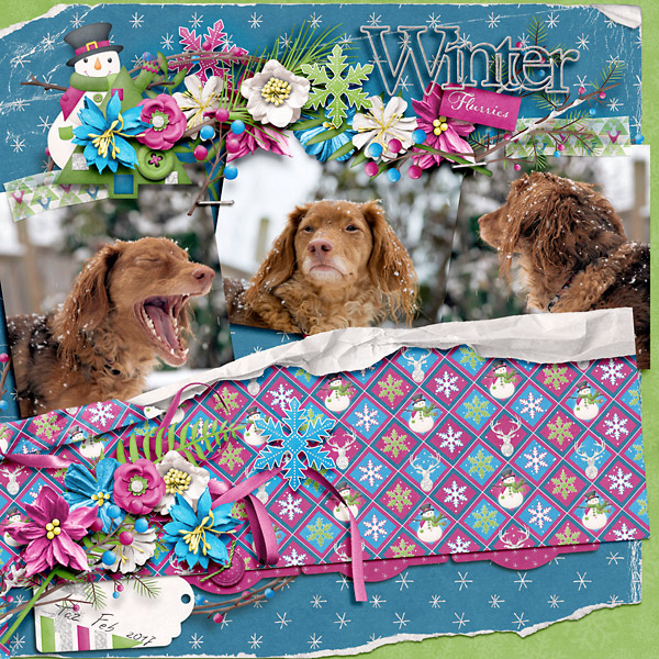 Winter Flurries