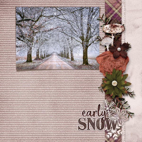 winter forest.jpg