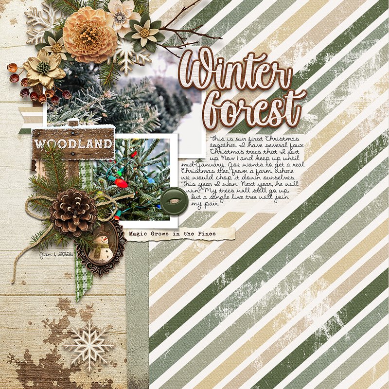 Winter-Forest.jpg