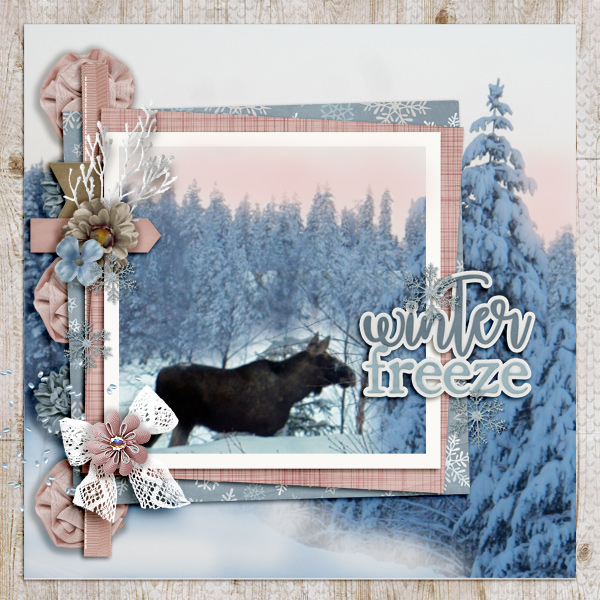 Winter-freeze