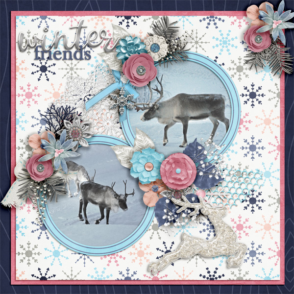 Winter-friends
