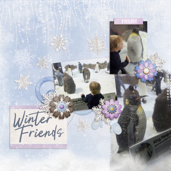 Winter friends