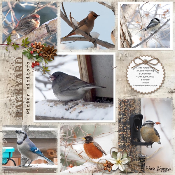 Winter Friends