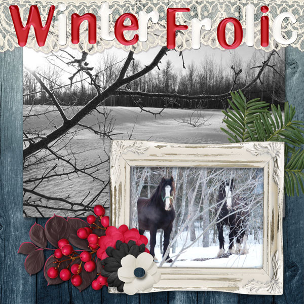 Winter Frolic