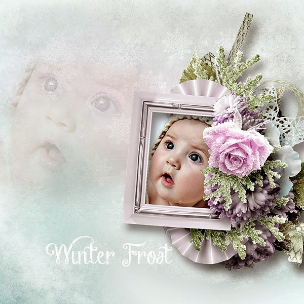 Winter frost