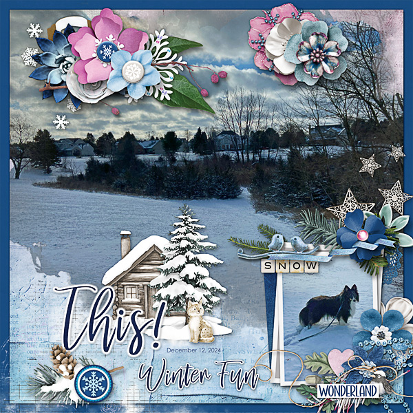 Winter Fun at the Park