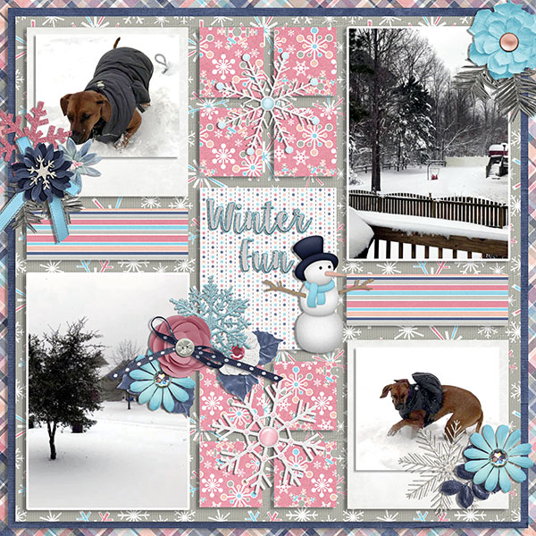 winter fun