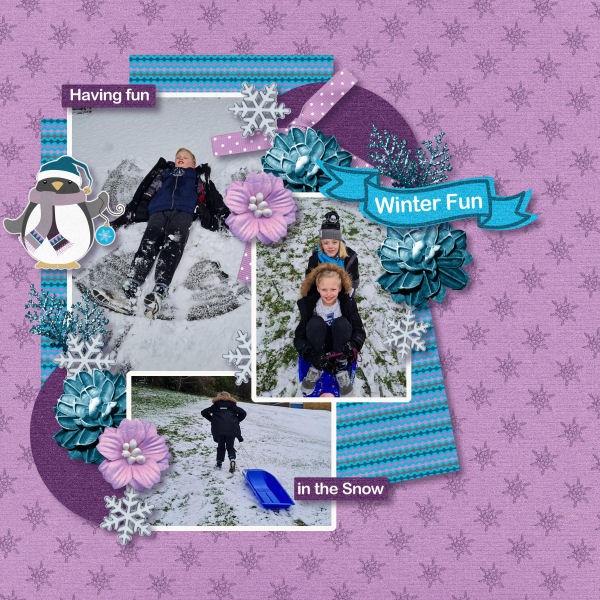 Winter Fun