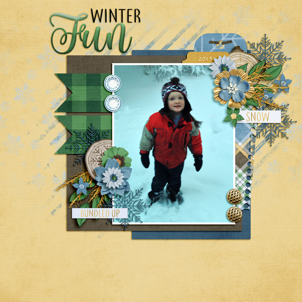 Winter Fun
