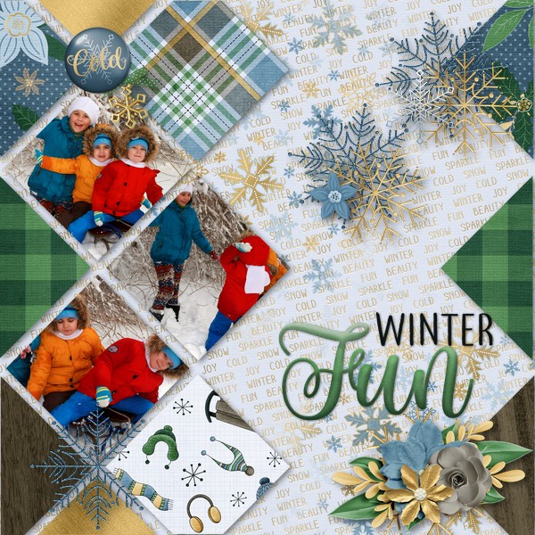 Winter Fun