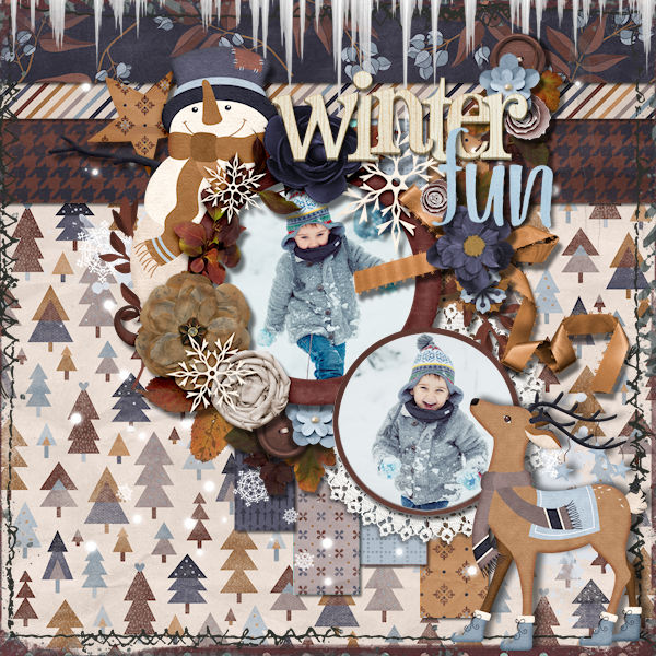 Winter Fun
