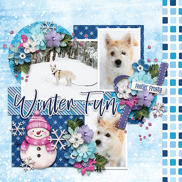 winter fun