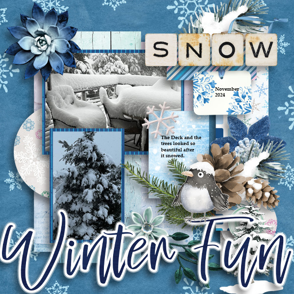 Winter Fun