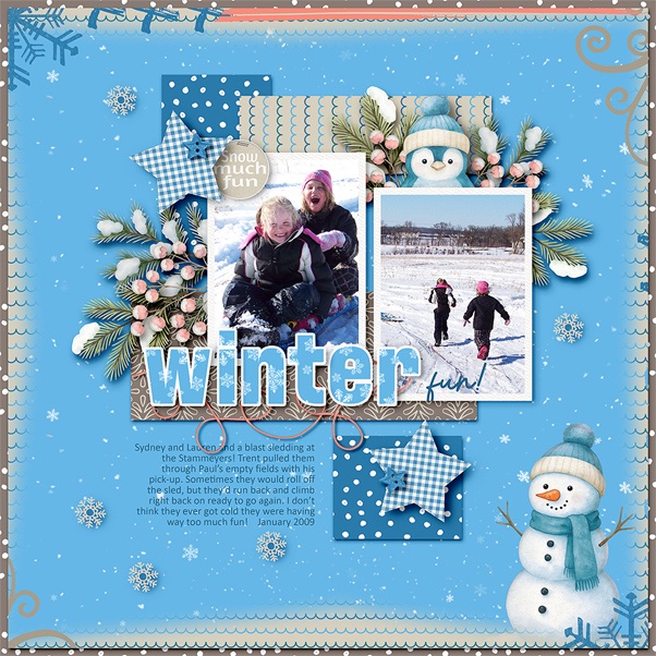 Winter Fun