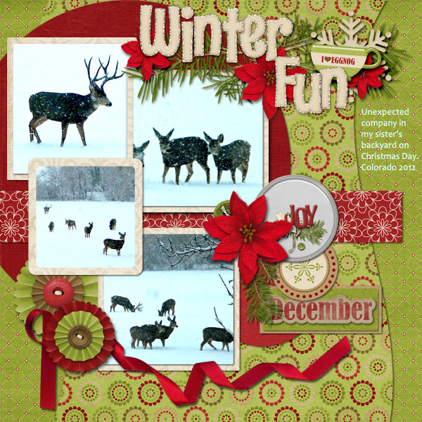 Winter Fun