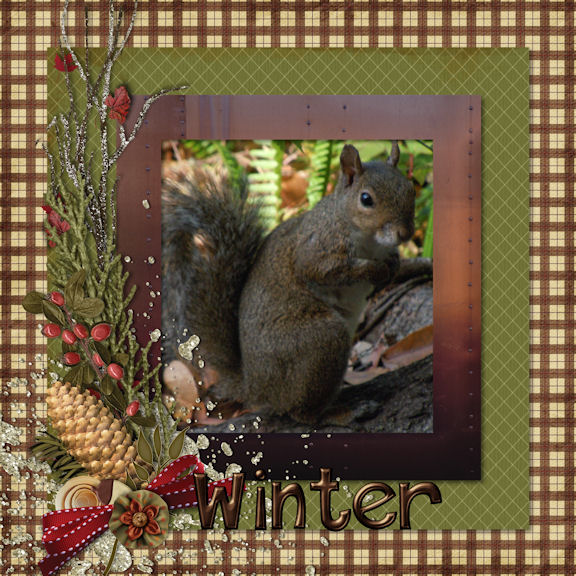 Winter Fur