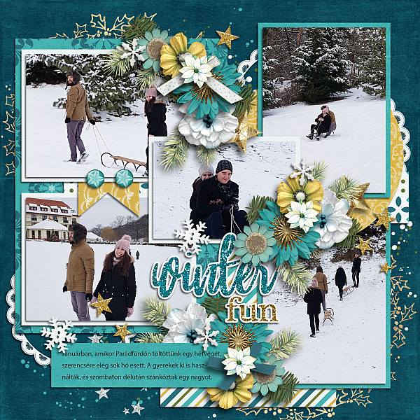 Winter gala