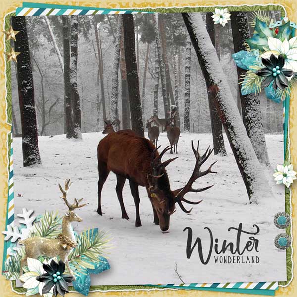 Winter Gala