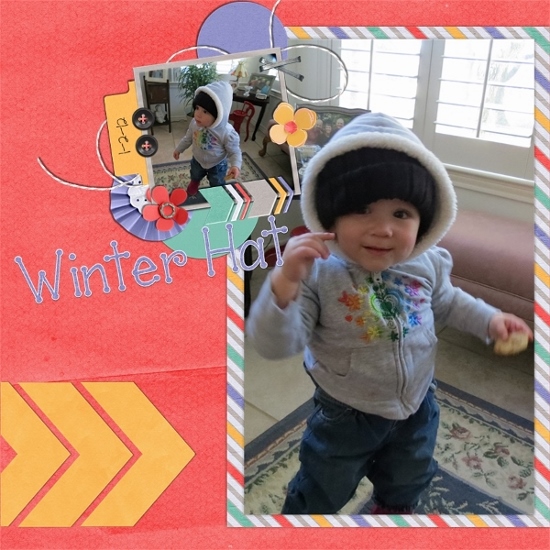 Winter Hat