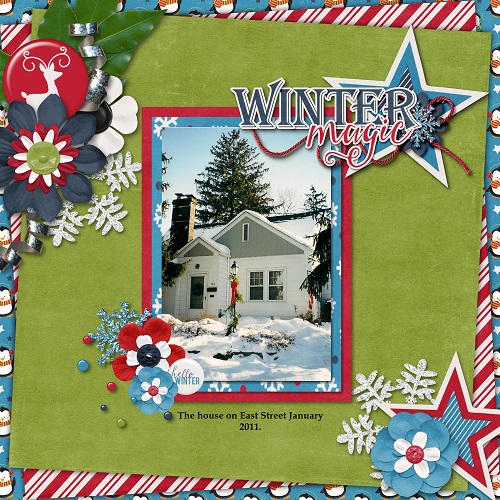 Winter House