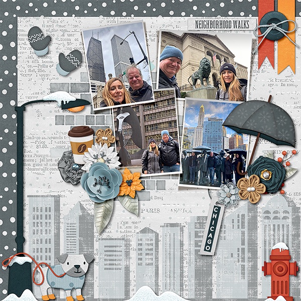 Winter in Chicago