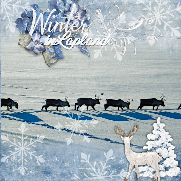 Winter-in-Lapland