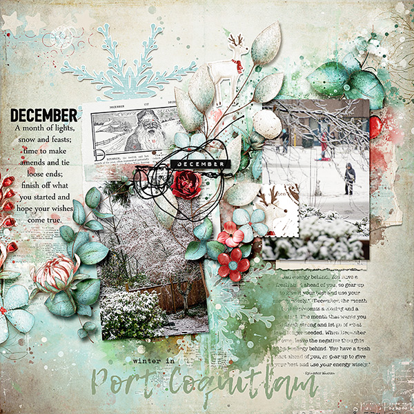 Winter In Port Coquitlam