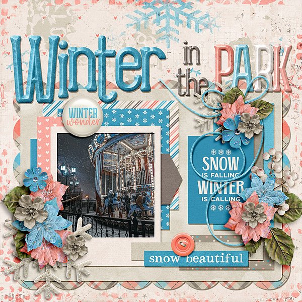 Winter in the Park