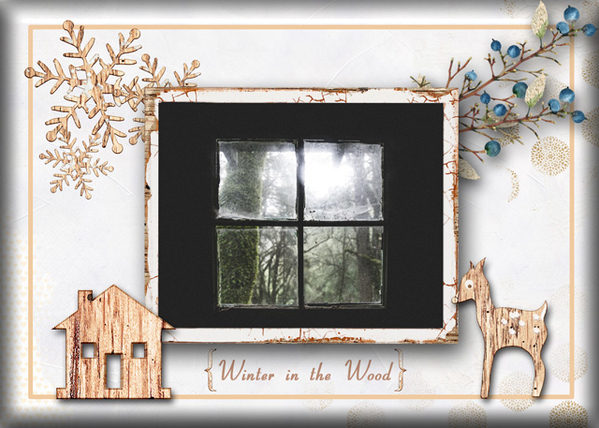 Winter in the Wood