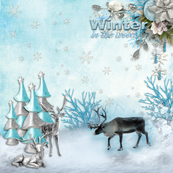 Winter-in-the-woods