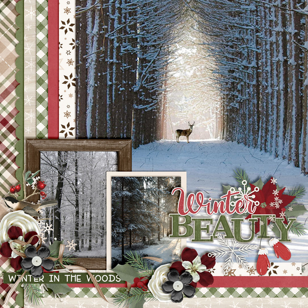 Winter-In-The-Woods1