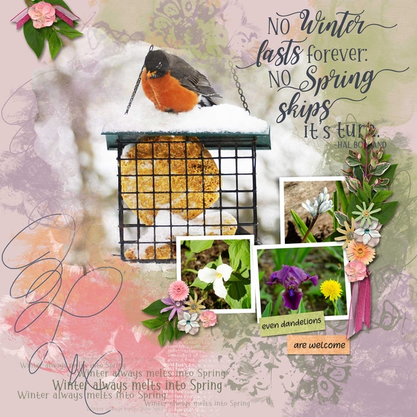 Winter into spring