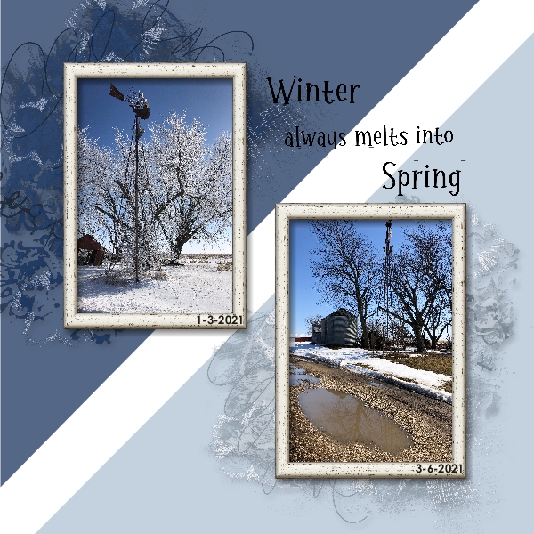 Winter into Spring
