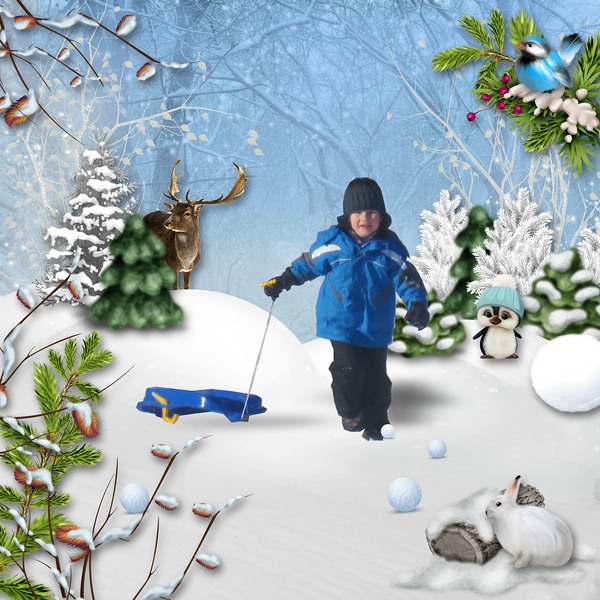 ~*~ Winter Joy ~*~